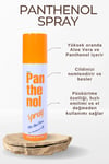 Panthenol Spray Mit Aloe Vera Panthenol %9 150 Ml