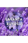 Air Wick Elektrikli Oda Kokusu Yedek Şişe Lavanta Bahçesi 19 Ml