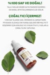 Tala Çam Terebentin Yağı 20 Ml