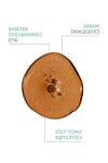 The Purest Solutions Siyah Nokta ve Sivilce Karşıtı Niacinamide Cilt Bakım Serumu 30 Ml (niacinamide 5% & Zinc Pca 1%)