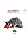 Royal Canin Fussy Exigent Seçici Yetişkin Kedi Maması 2 Kg
