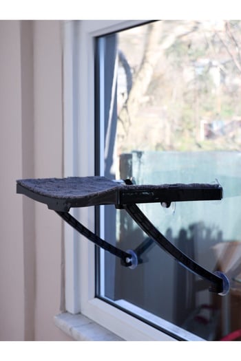 Ata Home Yeni Model Cam ve Duvar Için Kedi Yatağı Vantuzlu