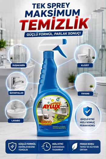 Aylux Banyo ve Tuvalet Temizleyici 700 Ml