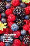 Nature's Scents Mixed Berries - Karışık Kırmızı Meyveler Oda Kokusu Yedek Makine Spreyi 250 Ml