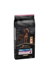 Pro Plan Büyük Irk Somonlu Yetişkin Köpek Maması 14 Kg