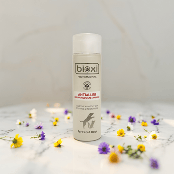 Bioxi® Antialler Shampoo,200 Ml, Hassas Ciltler için Anti-alerjik ve Dermatolojik Kaşıntı Giderici Şampuan