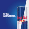 Red Bull Enerji İçeceği 250 ml X 24'lü Paket