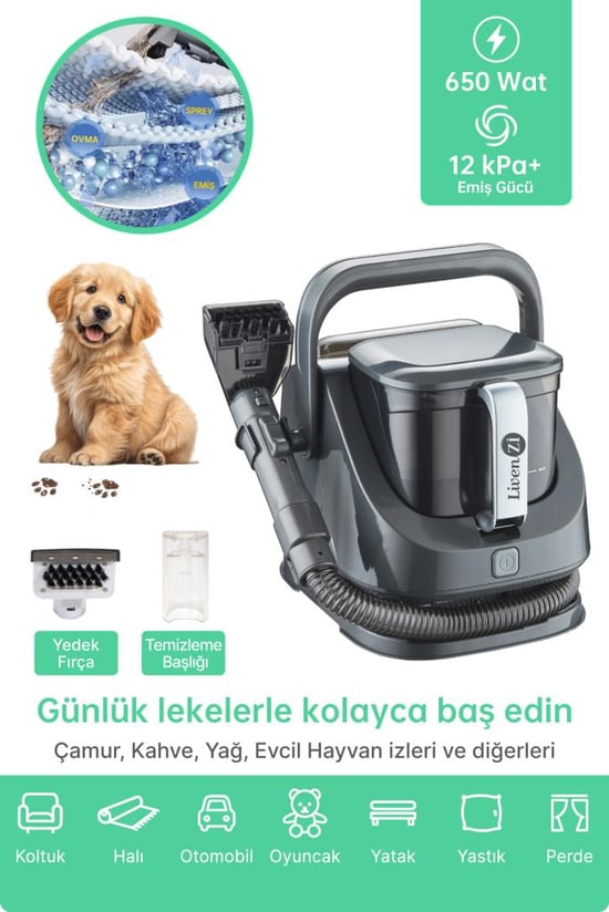 Livenzi Jjb-737-ıı Koltuk Halı Yıkama ve Leke Çıkartma Makinesi-gri
