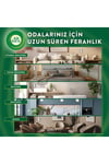 Air Wick Elektrikli Oda Kokusu Yedek Şişe Lavanta Bahçesi 19 Ml