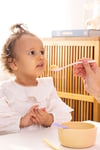 Wee Baby Meyve Süzgeci ve Mama Kaşığı Beslenme Başlangıç Seti- Kız