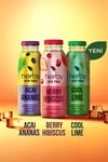 Herby İce Tea Cool Lime 250 Ml X 12