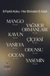 Secret Of Love Premium 48’li Oto Kokusu Cam Şişe – 8 Farklı Koku, Kalıcı Araç Kokusu Seti 8 Ml