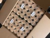 ProCo Bambu Kürdan 400'lü