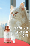 Kediler İçin Tüy Dökülme Önleyici Plus B Damla – 50 Ml