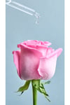 Nivea Aqua Rose Organik Gül Suyu İçeren Nemlendirici Tonik 200 Ml