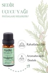 Kuatra Sedir Uçucu Yağı 10ml