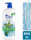 H&s Şampuan Buzlu Mentol Kaşıntı Giderici 800ml