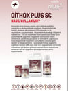 Oithox Plus Sc 1 Litre Konsantre Hamam Böceği, Tahta Kurusu, Kokarca Böceği, Gümüş Böceği, Bit, Pire, Haşere İlacı