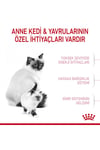 Royal Canin Mother and Babycat Kuru Kedi Maması 2 kg