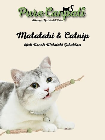 Purecanpati Catnipli Matatabi Stick – Kedi Diş Kaşıyıcı Oyuncak