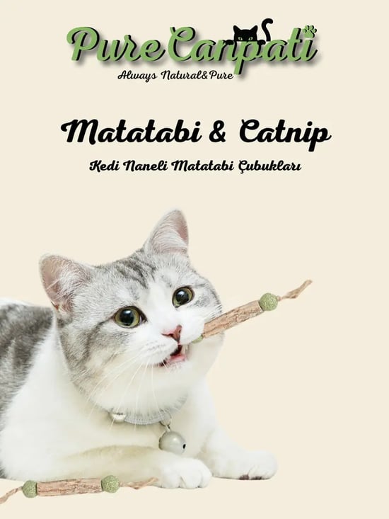 Purecanpati Catnipli Matatabi Stick – Kedi Diş Kaşıyıcı Oyuncak