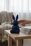 Kalp Tavşan Figürlü Dekoratif Biblo