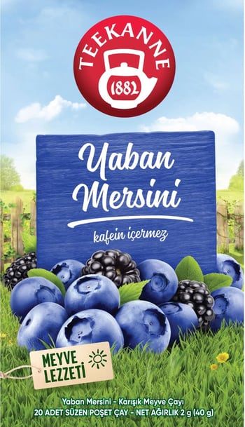 Teekanne 20lİ Süzen Poşet Bİtkİ Çayi Nane Doğal (kafeİn İçermez) 40gr