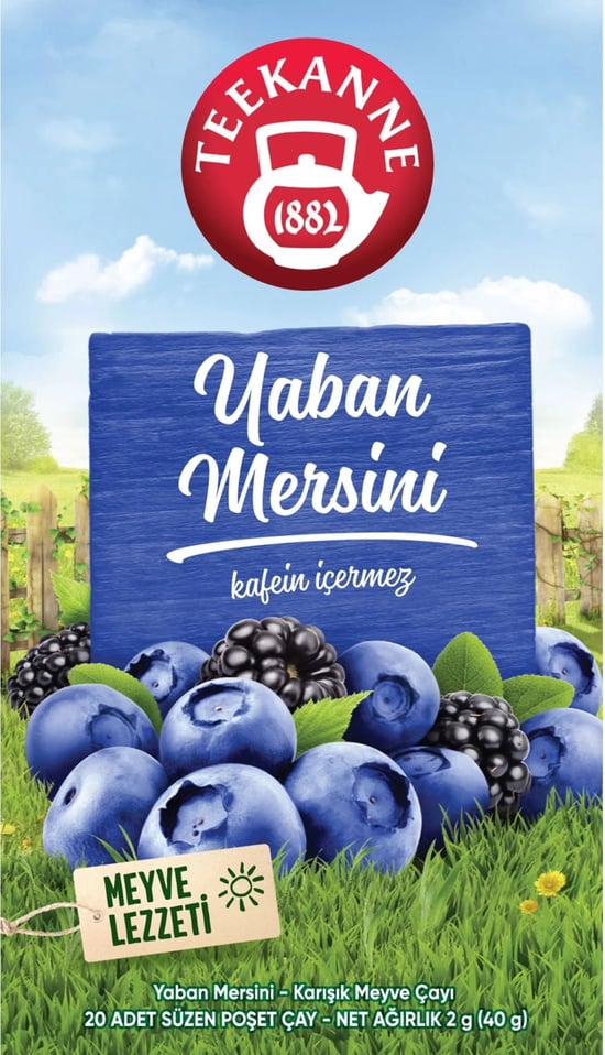 Teekanne 20lİ Süzen Poşet Bİtkİ Çayi Nane Doğal (kafeİn İçermez) 40gr