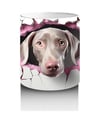 Kalpli Çatlakta Bakan Pembe Burunlu Weimaraner Baskılı Kahve Kupası Renkli