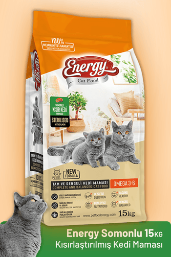 Energy Somonlu Kısırlaştırılmış Kedi Maması - 15 Kg