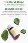Tala Limon Uçucu Yağı 10 Ml