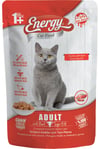 Energy Kedi Maması İslak Yetişkin Tavuklu 85gr & Yetişkin Sığır Etli 85gr Karma Paket
