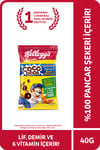 Kellogg's Coco Pops Çokotop 40 Gr X24 Adet