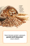 Dr Banggıwon Bira Mayası Şampuanı Onarıcı, Besleyici, Güçlendirici Germany Beer Yeast Shampoo 500 Ml
