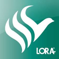 Markalar İçin Resim Lora