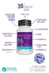 Suda Collagen Fx One 60 Tablet
