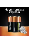Özel Alkalın Pil 2 Li Mn21