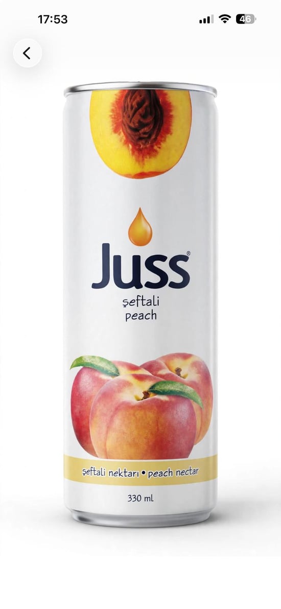 Juss Teneke Şeftali 250 Ml 24 Adet