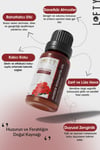 Lofty Amber Romantik Esansiyel Uçucu Koku Yağı 10ml