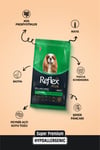 Plus Hipoalerjenik Mini ve Küçük Irklar için Tavuklu Yetişkin Köpek Maması 3 Kg