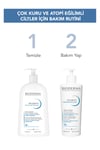 Bioderma Atoderm Intensive Yüz Temizleme Jeli 200 Ml