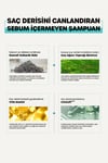 Dr Banggıwon No Sebum Yağlı Saçlar Için Sebum Dengeleyici Şampuan No Sebum Shampoo 1000 Ml