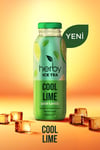 İce Tea Cool Lime Soğuk Çay Şeker İlavesiz 250 Ml X 12