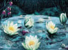 Nova Puzzle 1000 Parça Yıldızlı Gecede Lotus Çiçekleri