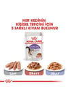 Royal Canin Sterilised Gravy Kısırlaştırılmış Yetişkin Kedi Konservesi 85 Gr X 12