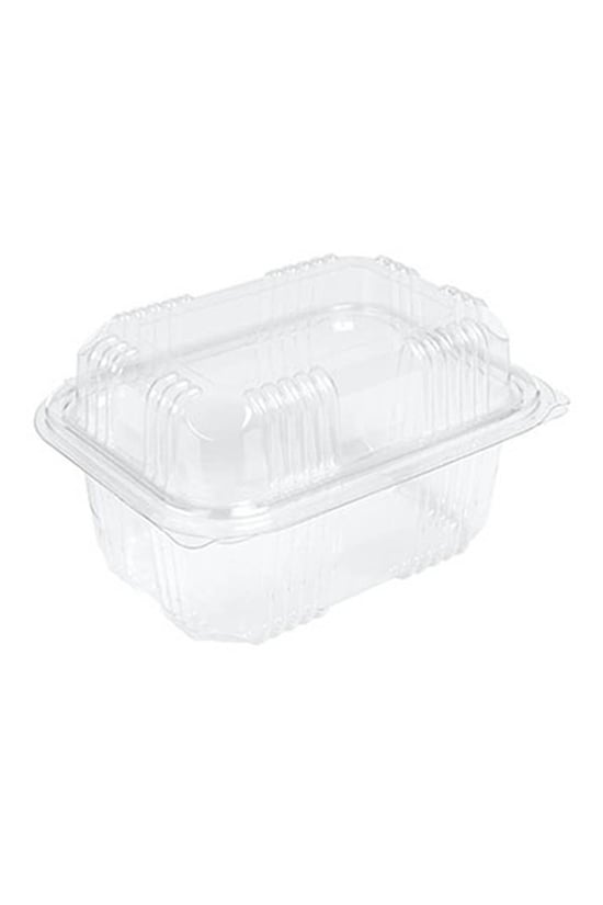 Sızdırmaz Kendinden Kapaklı Plastik Kap - Peynir Kabı 500 gr 100 Adet