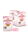 Royal Canin Kitten Jelly 85 Gr X 12 Adet Yavru Kedi Yaş Maması