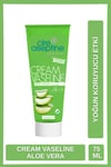 Cire Aseptine Vazelin Krem Aloe Vera 75 Ml*48