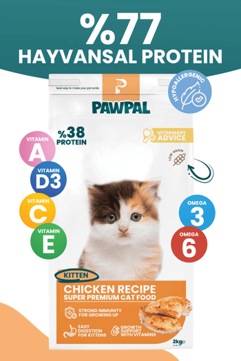 Tavuklu Süper Premium Yavru Kedi Maması 2kg