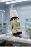 Tala Nane Uçucu Yağı 10 Ml